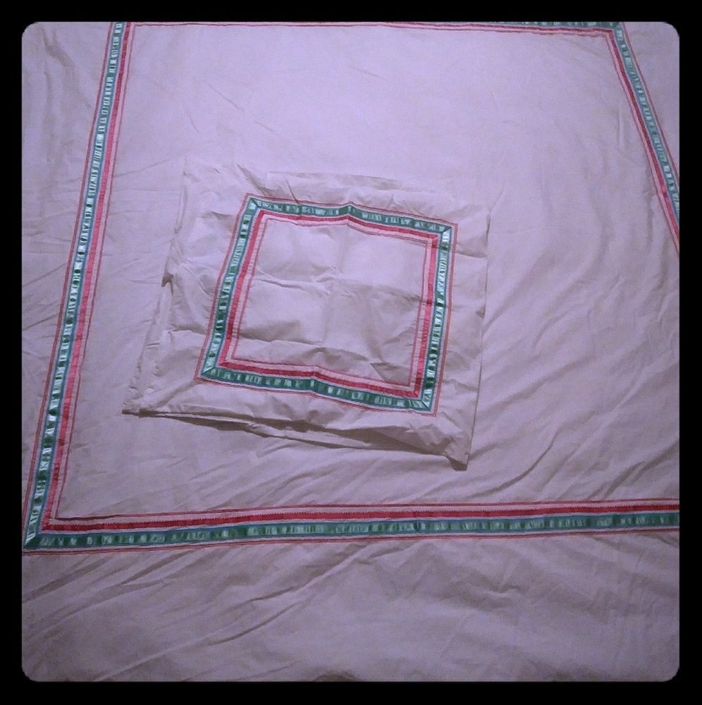 Pottery barn teen duvet with 2 euro shams